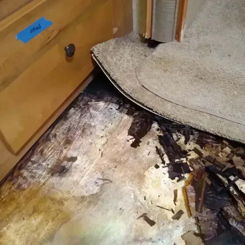 Wood Floor Water Damage in Maryvale, AZ